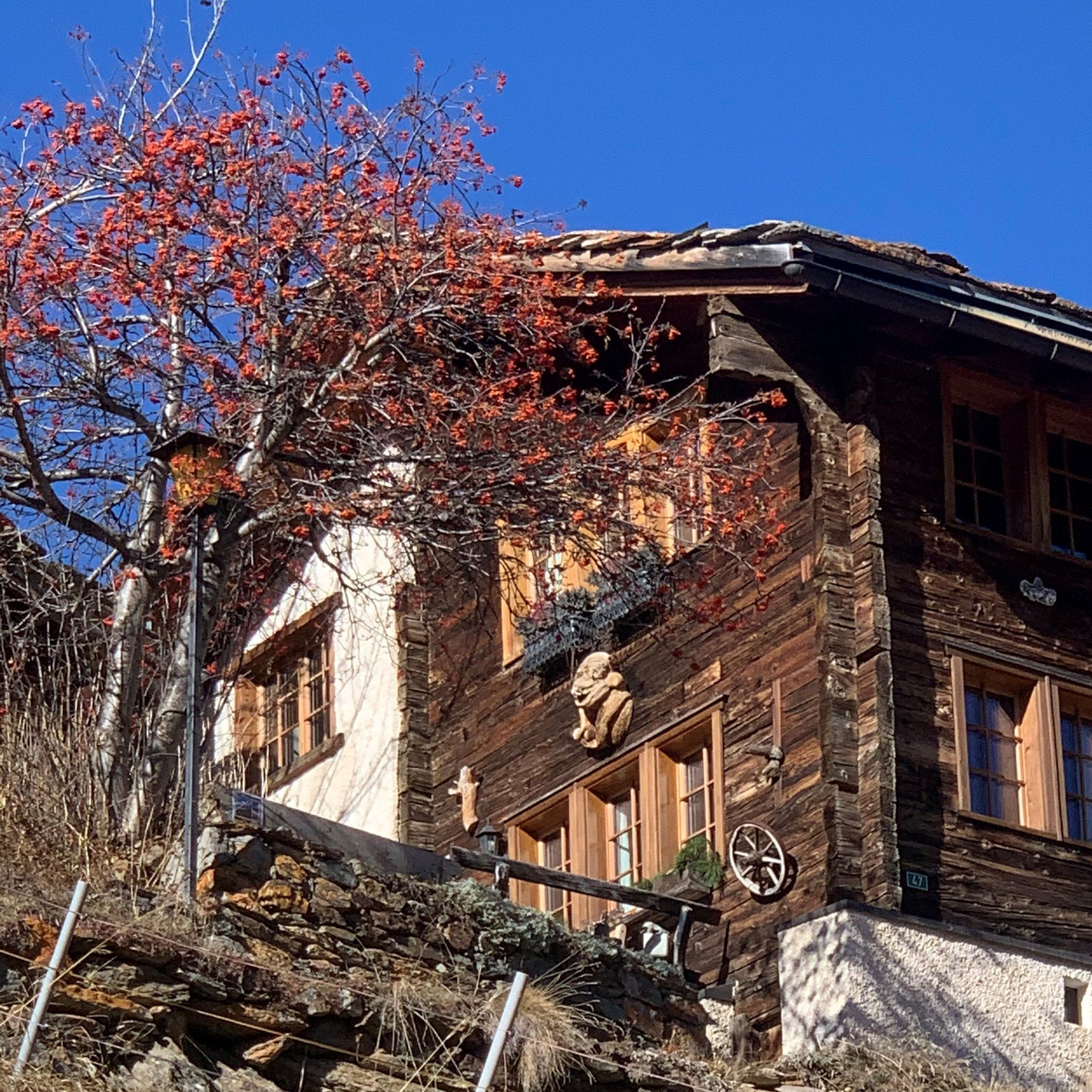 The 1676 Valais house with the rowan tree in autumn